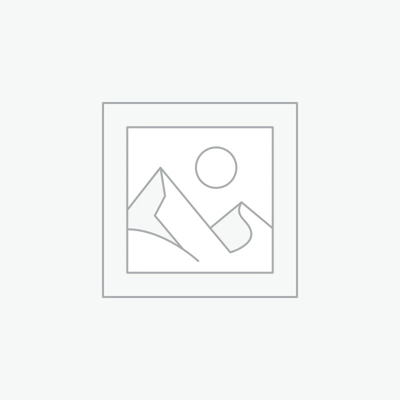 Affiche - Reproduction d'André Jourcin 1950' • oiseau 2