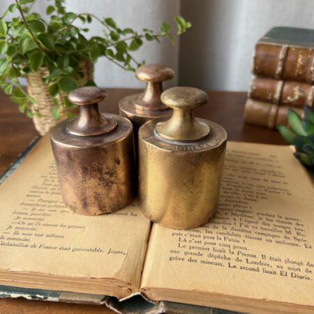 Poids en laiton 1 kg (1 dispo)