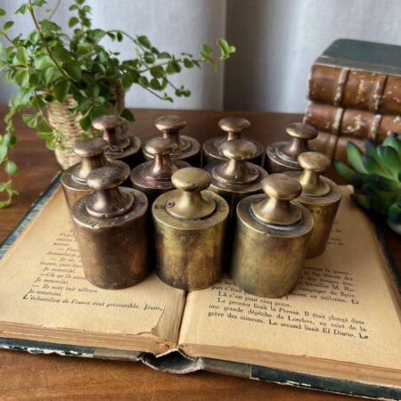 Poids en laiton 500 g (5 dispos)