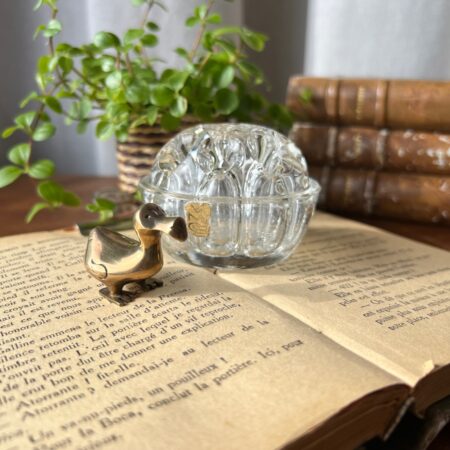 Petit dodo en laiton & pique-fleurs en verre