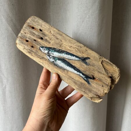 Bois flotté & sardines bleues
