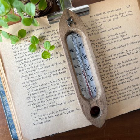 Ancien thermomètre de bain