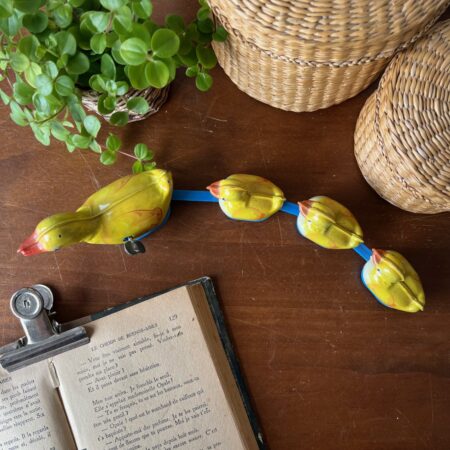 Ribambelle de 4 canetons