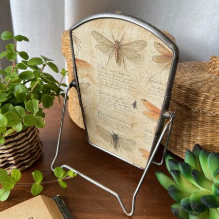 Petit miroir "botanique"
