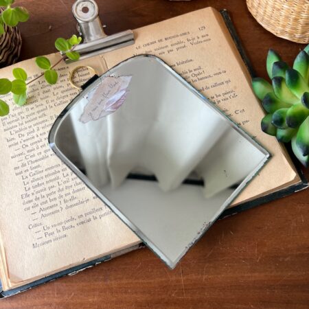 Miroir de barbier "Je suis une fleur bleue"