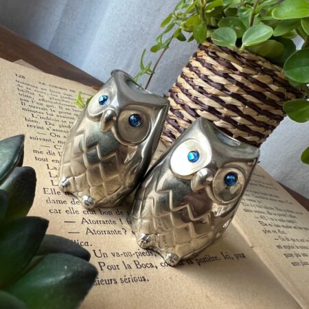 Duo de salerons hiboux en métal argenté