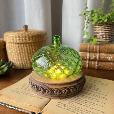 Petit champignon lumineux