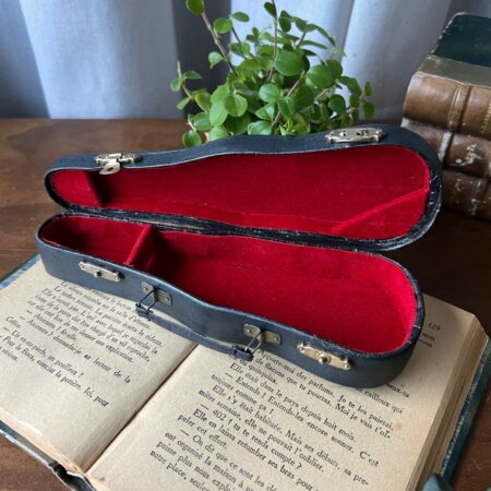Mini étui à violon