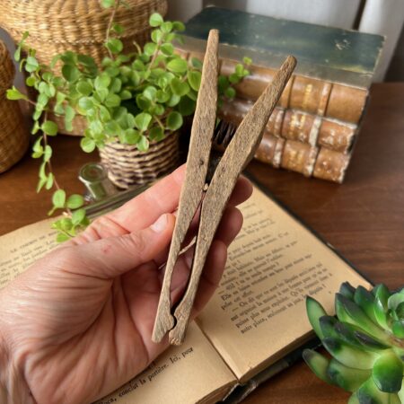 Ancienne pince à linge en bois