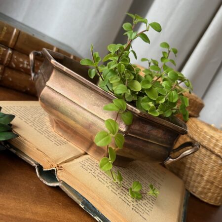 Petite jardinière en bronze