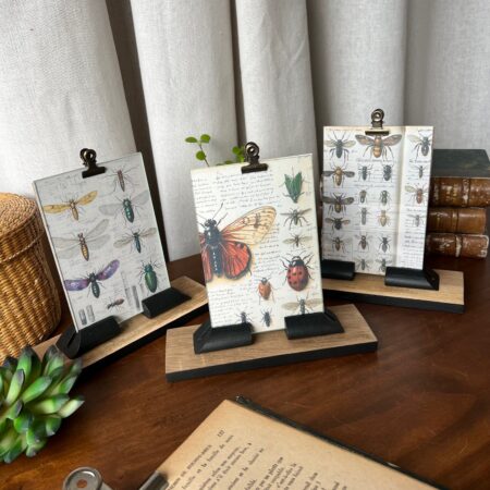 Trio de cadres art déco