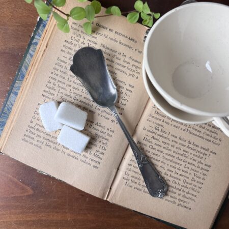 Pelle à sucre en métal argenté