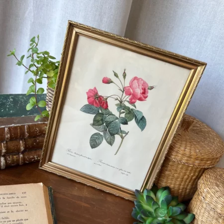 Cadre doré vintage "Rosa", Redouté