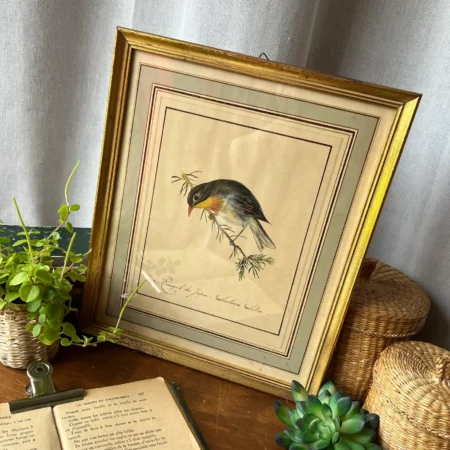 Lithographie vintage "Rossignol du Japon" avec cadre doré d’origine