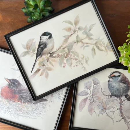 Triptyque d'oiseaux "Giordano", reproductions naturalistes vintage