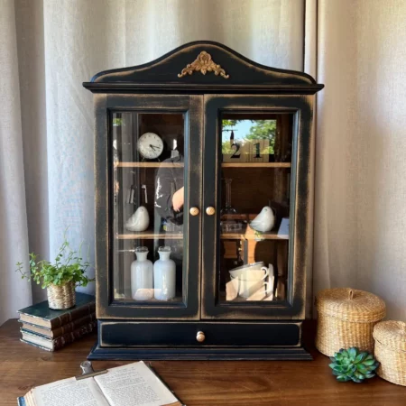 Vitrine "cabinet de curiosités" - meuble mural ou à poser