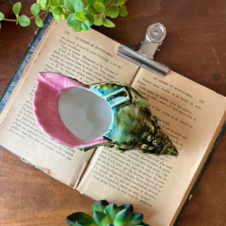 Coquillage en barbotine