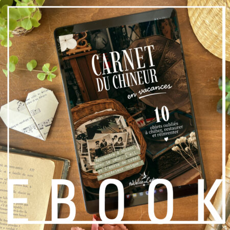 [EBOOK] Carnet du chineur : 10 objets à chiner et à réinventer
