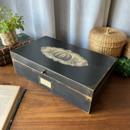Coffret ancien revisité "Curiosités marines 02 - Oursin"