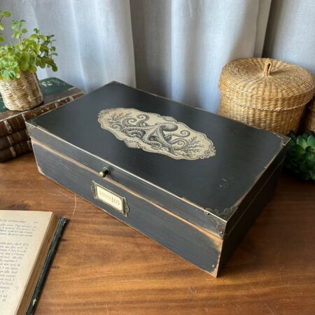 Coffret ancien revisité "Curiosités marines 03 - Poulpe"