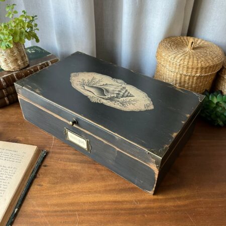 Coffret ancien revisité "Curiosités marines 05 - Coquillage"