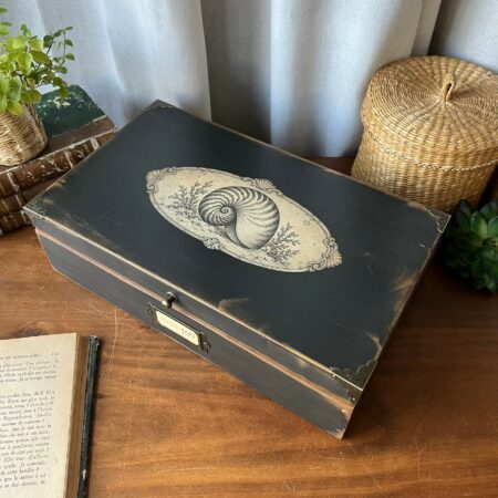 Coffret ancien revisité "Curiosités marines 09 - Nautile"