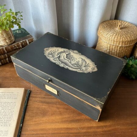 Coffret ancien revisité "Curiosités marines 10 - Sirène"